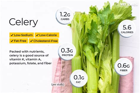Celery Protein