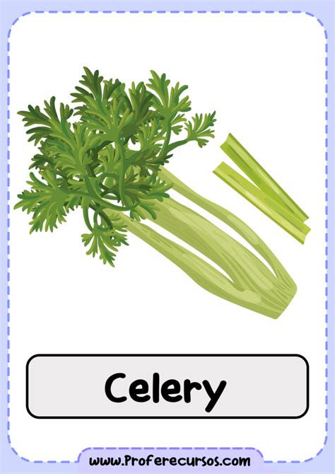 Celery Que Significa En Ingles