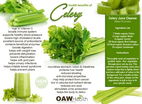 Celery Raw Benefits