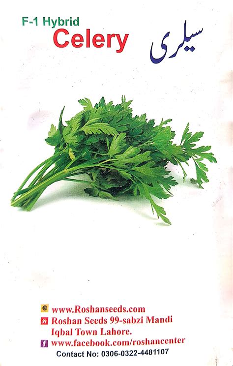 Celery Seed Urdu