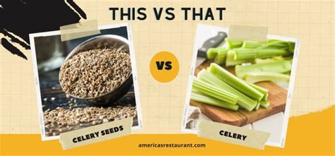 Celery Seed Vs Fresh Celery