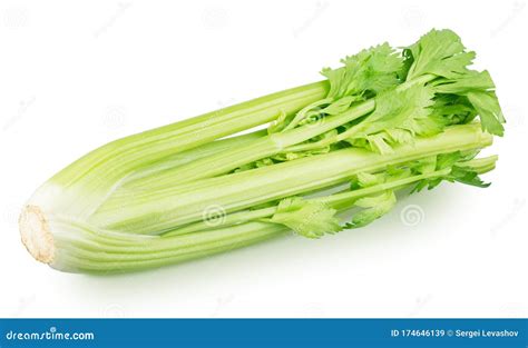 Celery Stalk Bunch