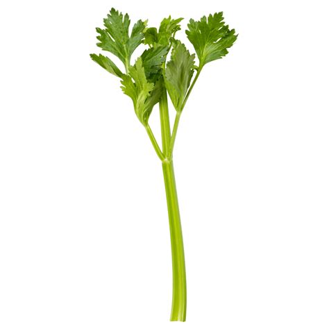 Celery Use Kafka