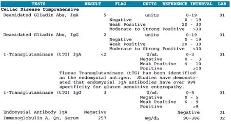 Understanding Celiac Disease: What You Need to Know About the Celiac Lab Test