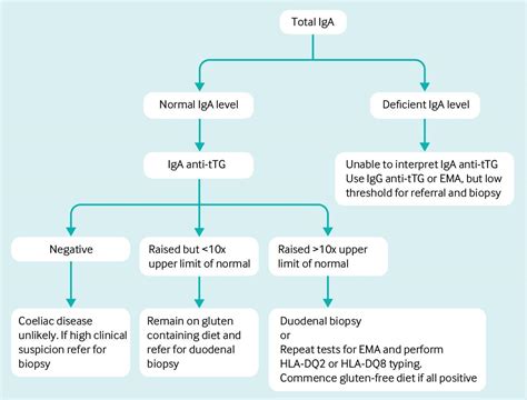 celiac screen ttg iga