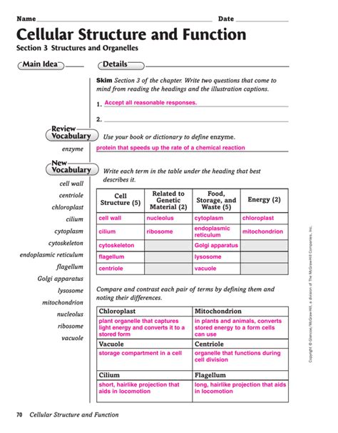 Cell Parts And Functions Worksheet Answers Worksheets Samples