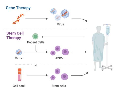 Revolutionizing Healthcare: The Promise of Cell and Gene Therapy