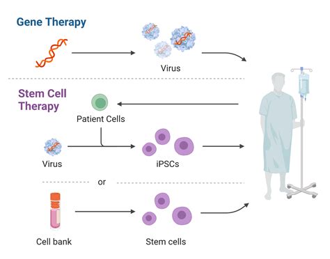 cell and gene therapy overview