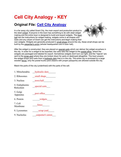 cell city analogy worksheet answers widget