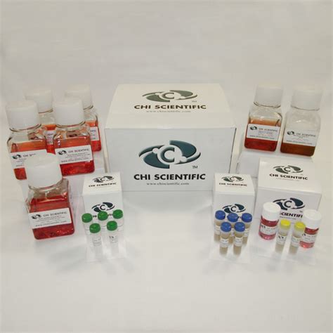 Cell Culture Kit