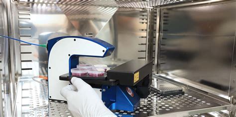 Cell Culture Quality Control