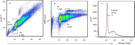 Cell Cycle Analysis Using Multiparameter Flow Cytometry