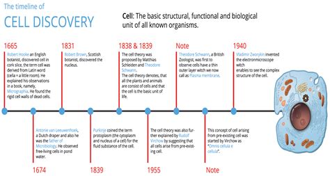 cell discovery manuscript under consideration