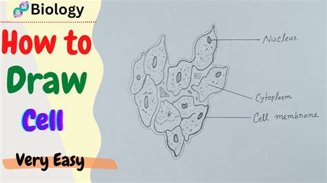 Cell Drawing Class 7