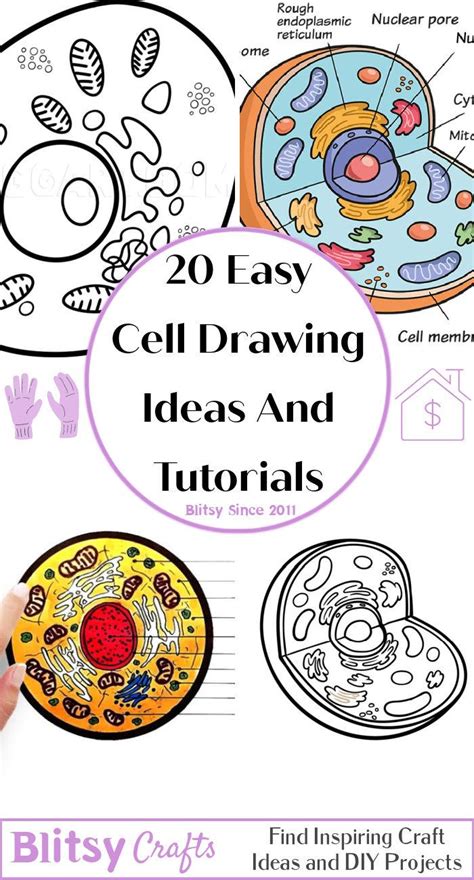 Cell Drawing Example