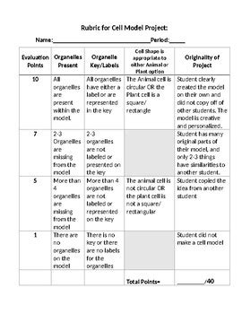 Cell Drawing Rubric