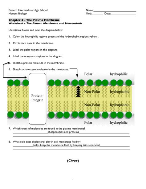 List Of Cell Membrane Structure And Function Worksheet Answer Key Quizlet Ideas