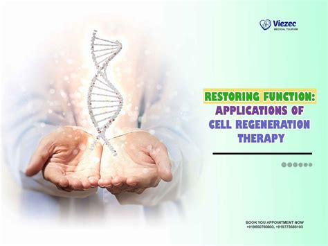 Cellular Repair Therapy Scottsdale AZ: Rejuvenating Your Body