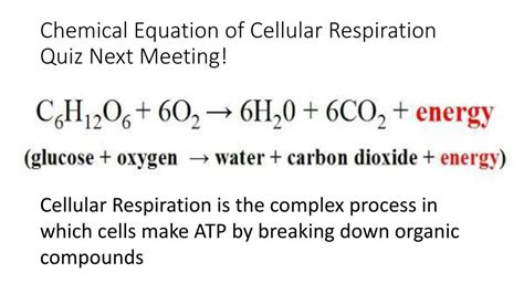What is the equation for photosynthesis and for cellular respiration