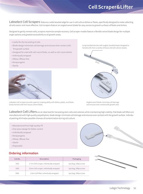Cell Scraper Researchgate