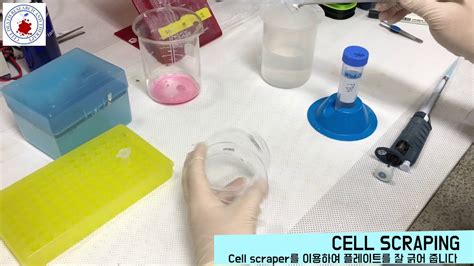 Cell Scraper Reuse