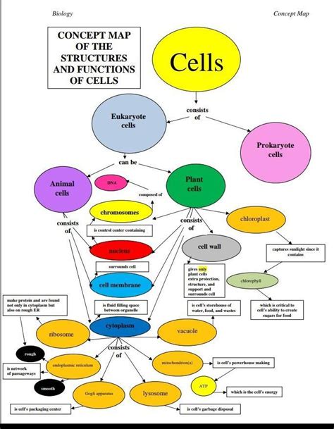 28 Concept Map On Cells Online Map Around The World
