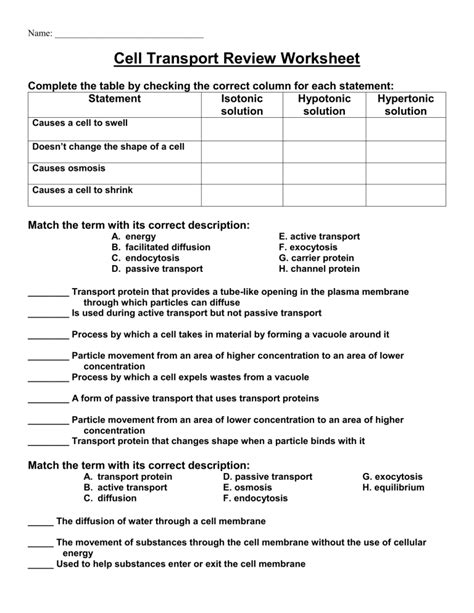 cell transport review worksheet match the definition on the left