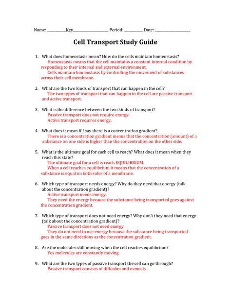 cell transport review worksheet quizlet