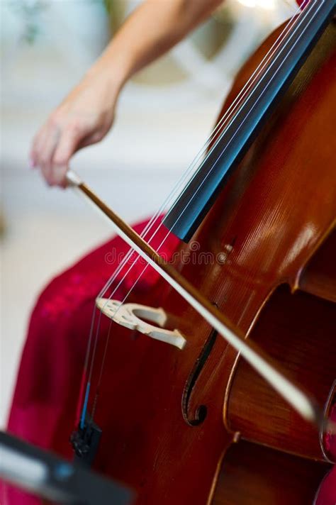 Cello