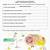 cellular respiration overview worksheet