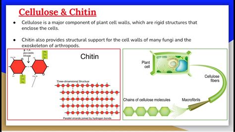 PPT Chapter 8 (part2) PowerPoint Presentation, free download ID603592