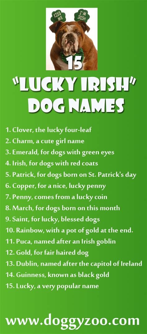 Celtic Female Dog Names and Meanings