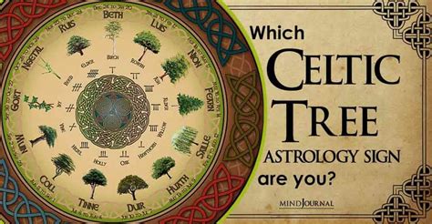 Celtic Tree Zodiac Compatibility