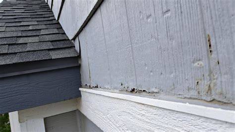 Cement Siding Drip Edge