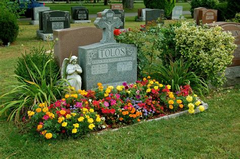 Cemetery plants Flowers to memorialize your loved one