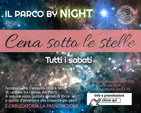 cena sotto le stelle