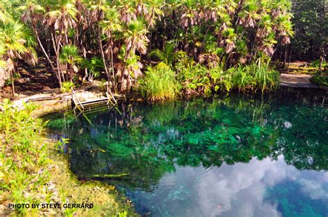 Cenote Escondido (Maya Blue) West of Tulum town on highway 307, Tulum