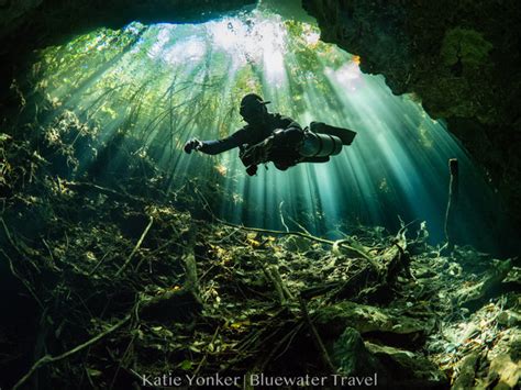 cenote diving tour