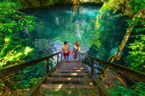 cenotes tour experience