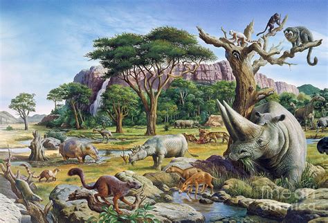 Cenozoic Era