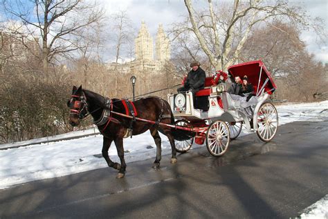 Central Park Carriage Ride Central Park Horse & Carriage