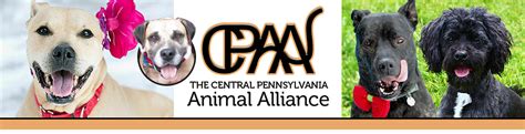 central pa animal alliance