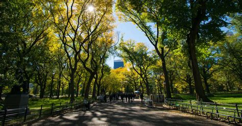 central park conservancy donations