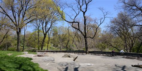 A view of Central Park in New York City
