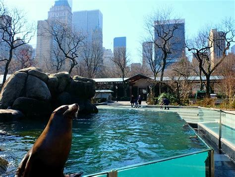 central park zoo new york pass