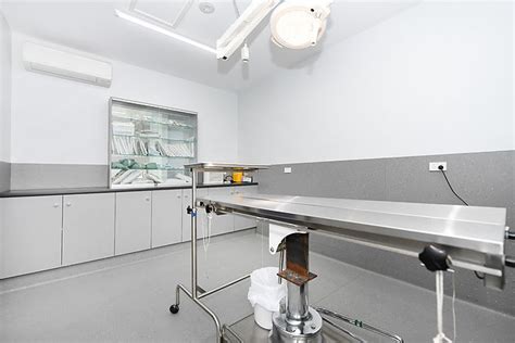 Central Vet Boarding