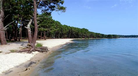 centre de vacances biscarrosse