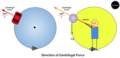 centrifugal force with example