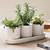 ceramic herb pots for the kitchen