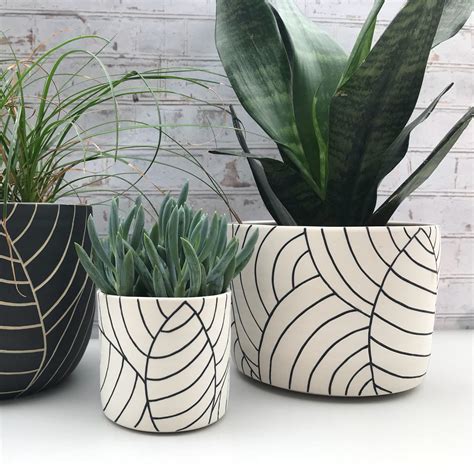 ceramic containers for plants